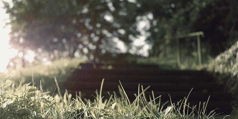 企业健康管理新纪元：EAP如何通过心理健康筛查与数字健康平台实现全面升级