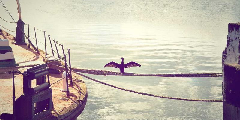 企业高管健康管理方案：整合预防保健、健康追踪与专业健康咨询的全面策略