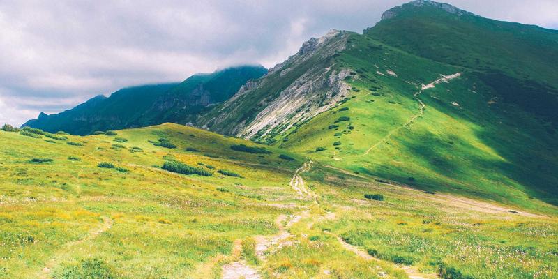 健康管理4.0时代：医疗科技与智能咨询如何重塑个人健康生态