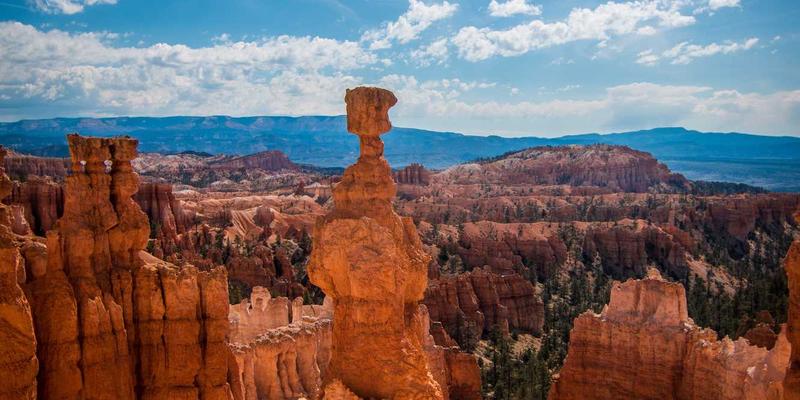 健康管理70：数字时代的健康追踪、咨询与在线医疗新范式