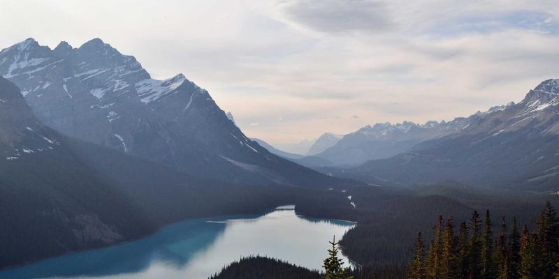 健康管理82：数字化时代的预防保健、健康追踪与在线医疗新范式