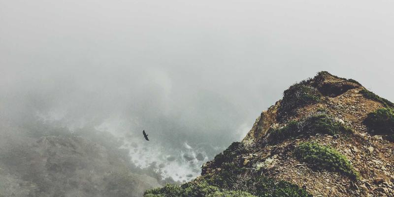 健康管理93：数字健康与在线医疗如何重塑现代健康管理新范式