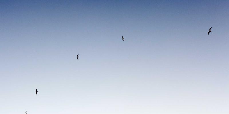 健康管理99：融合数字健康与医疗科技的新时代健康咨询革命