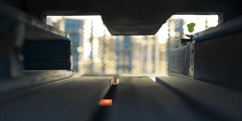 健康追踪与预防保健新纪元：FDA认证数字疗法如何重塑糖尿病、失眠等疾病管理