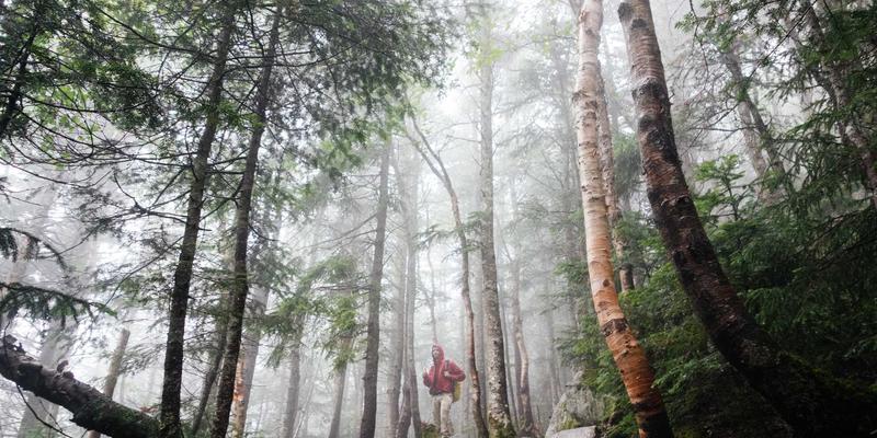 儿童肥胖的早期家庭健康管理：行为矫正与家庭环境构建的预防保健指南