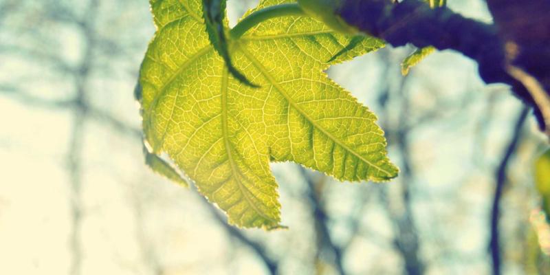 医疗科技如何重塑健康管理：从被动治疗到主动预防的智能追踪时代