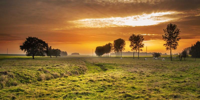 告别药物依赖：慢性疼痛患者的创新健康管理方案——物理疗法与认知行为干预的协同作用