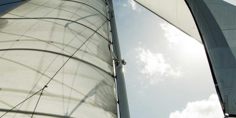 数字健康与健康追踪：儿童肥胖早期干预的家庭管理策略