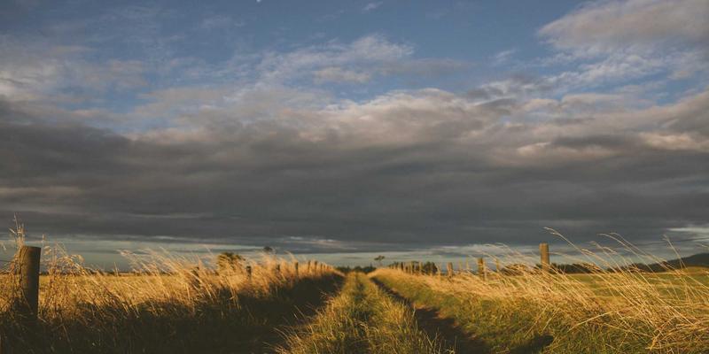 数字健康与医疗科技：重塑现代健康管理的新范式