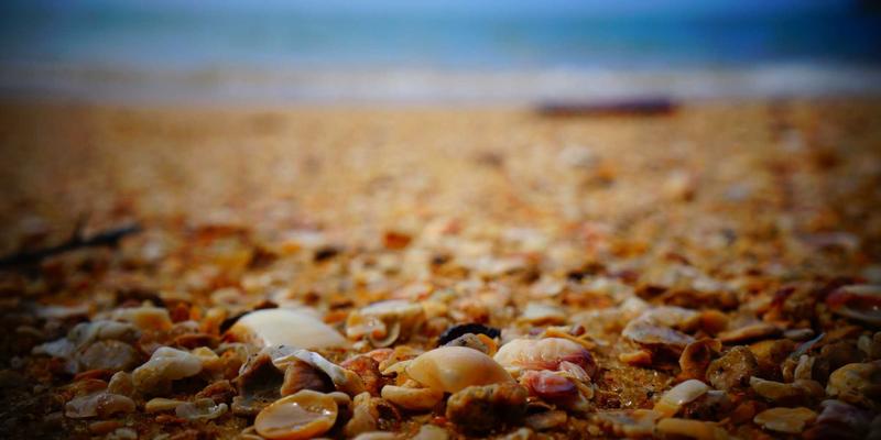 数字健康时代：医疗科技如何赋能职场心理健康，有效预防职业倦怠与焦虑