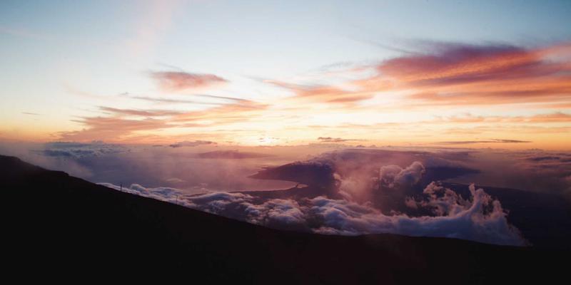 数字健康时代：在线医疗如何助您逆转脂肪肝与科学养护肝脏