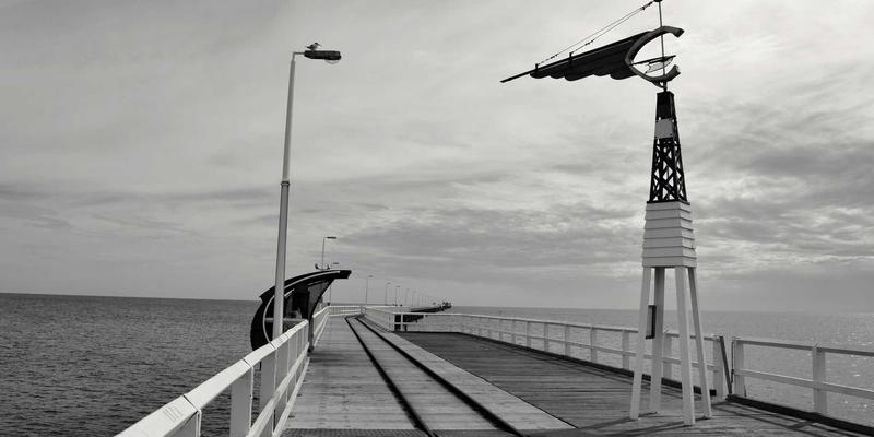 数字健康时代:如何通过健康追踪与专业咨询实现高效健康管理