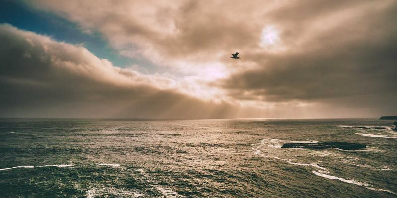 数字健康时代:如何通过健康追踪实现科学预防保健