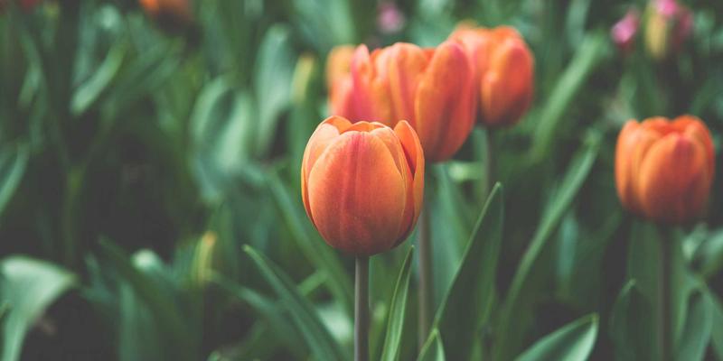 数字健康时代：职场久坐人群的肌肉骨骼健康管理与微运动指南