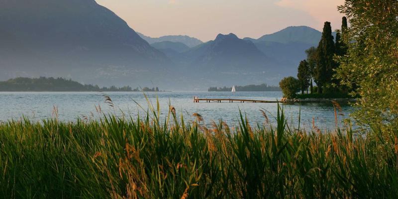 数字时代下的糖尿病足部护理：融合预防保健与医疗科技的日常管理指南