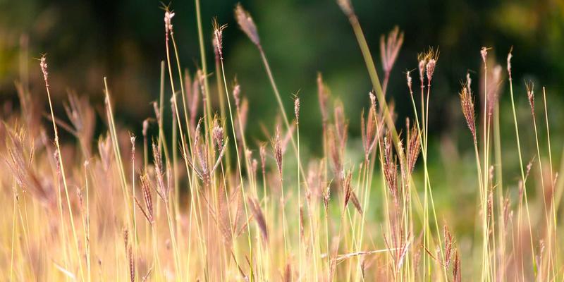 睡眠健康管理新趋势：从环境优化到医疗科技助眠的完整指南