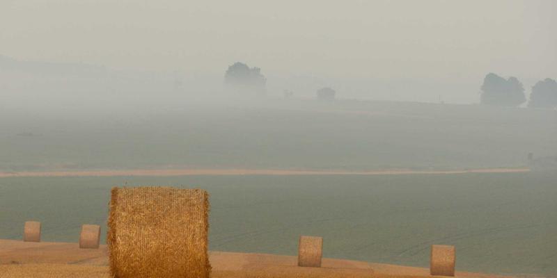 科技赋能健康：数字时代女性更年期荷尔蒙管理与整体调适新策略