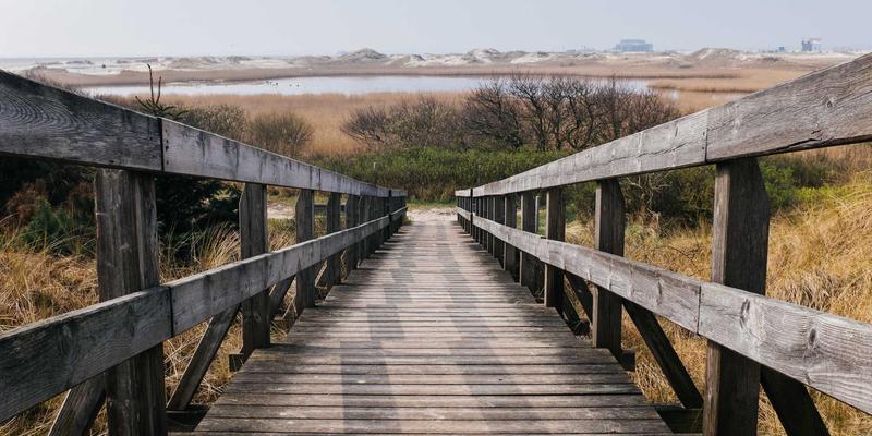职场久坐族健康管理指南：从健康追踪到在线医疗的完整解决方案