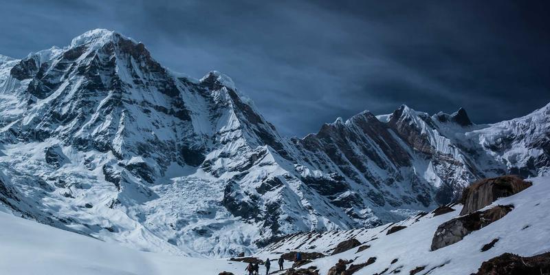 肠道菌群健康管理：饮食与益生菌如何通过在线医疗重塑整体健康