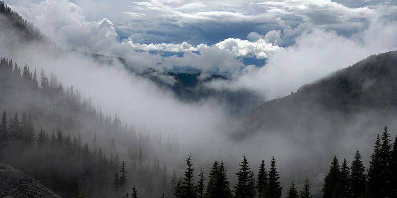 融合在线医疗与医疗科技：中医治未病理念下的体质辨识与季节性调理方案