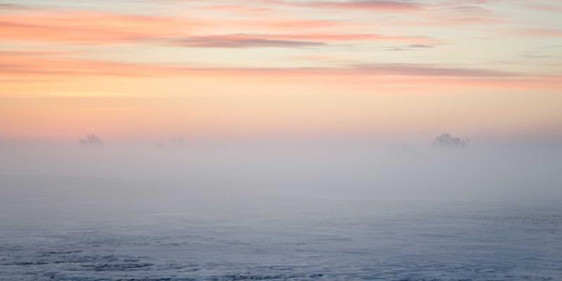 解码生命蓝图：基于基因检测的个性化营养方案，开启精准健康管理新时代